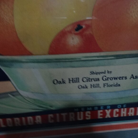 Flor'da Sweet Vtg label Oak Hill Citrus Print Artwork wood frame 2 mats Florida - Picture 9 of 16